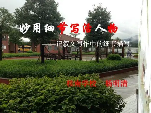 作文教学细节描写(公开课)杨明清