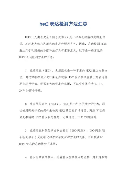 her2表达检测方法汇总