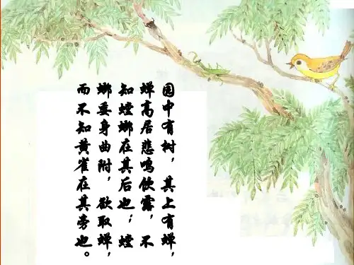 七年级生物 食物链和食物网(共15张PPT)
