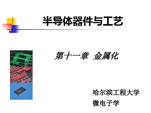 半导体器件与工艺(11)答辩