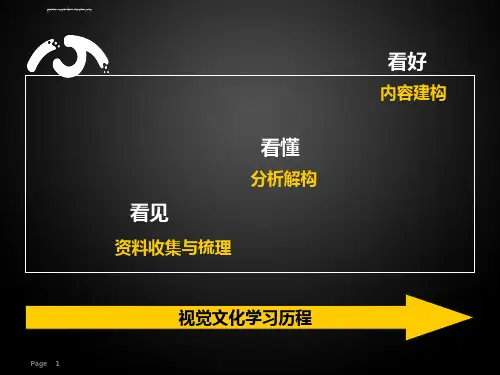 视觉文化课程学习总结ppt课件.ppt