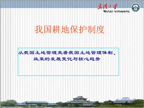 我国耕地保护制度.