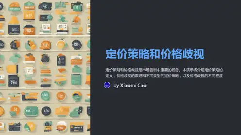 定价策略和价格歧视