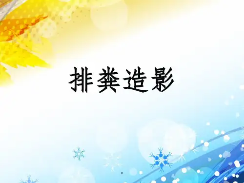 排粪造影