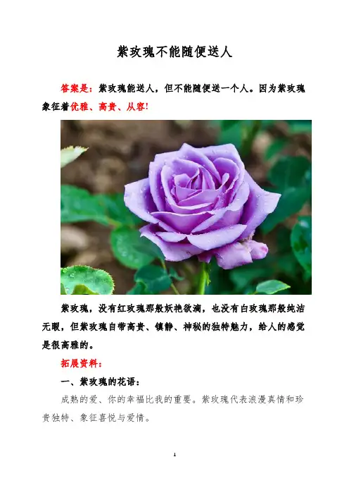 紫玫瑰不能随便送人