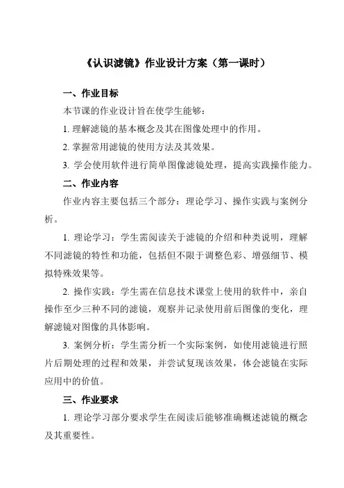 《第二单元第6课滤镜的应用(一)一、认识滤镜》作业设计方案-初中信息技术人教版七年级下册自编模拟