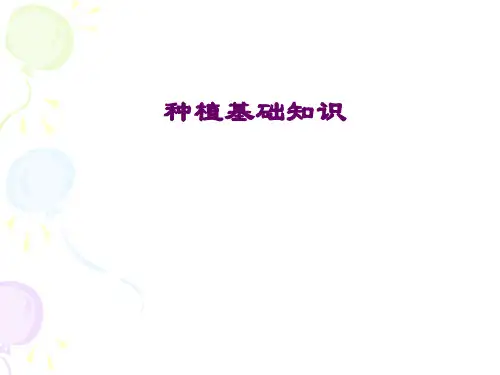 种植基础知识讲解