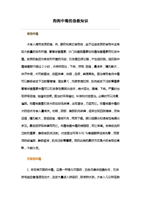 狗狗中毒的急救知识