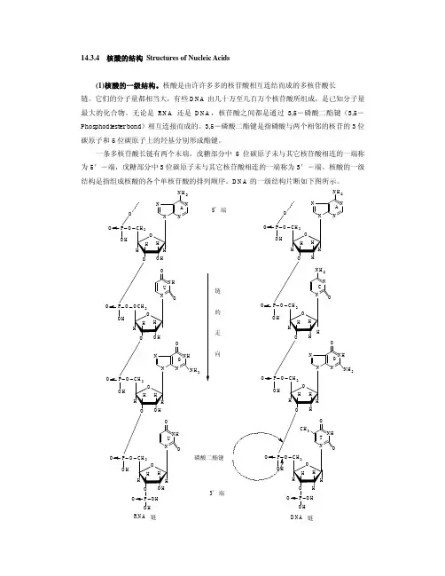 核酸的结构