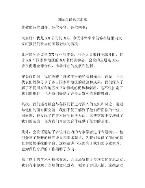 国际会议总结汇报