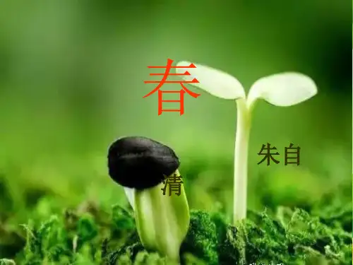最新人教部编版七年级语文上册第一单元PPT课件