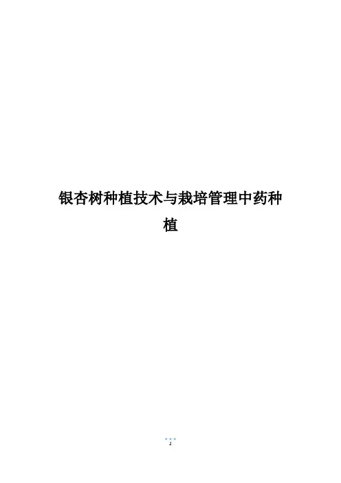 银杏树种植技术与栽培管理中药种植