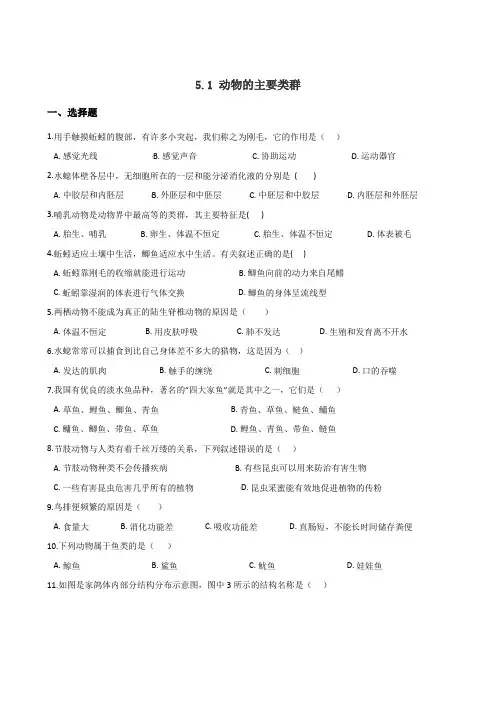 人教版八年级上册生物 期末专题复习 5.1 动物的主要类群(含答案)