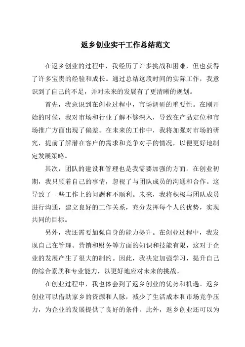 返乡创业实干工作总结范文