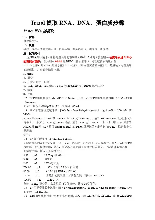 Trizol提取RNA_DNA_PR步骤