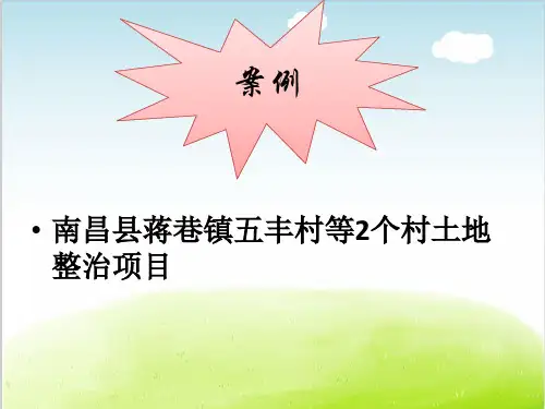 某村土地整治项目案例PPT(共 44张)