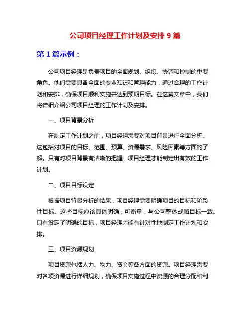 公司项目经理工作计划及安排9篇