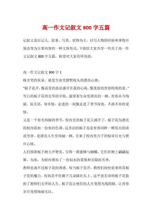 高一作文记叙文800字五篇