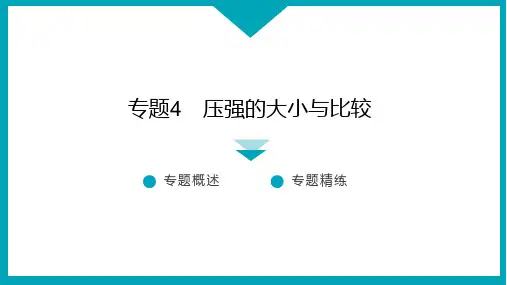 专题4 压强的大小与比较