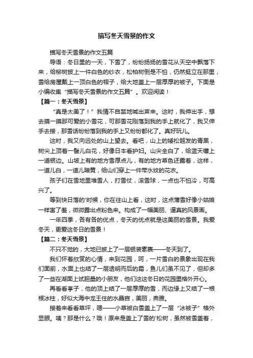 描写冬天雪景的作文五篇