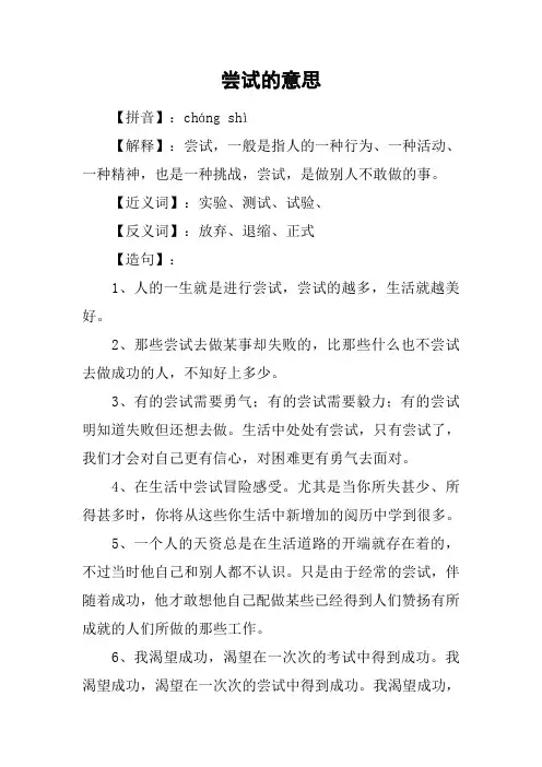 尝试的意思