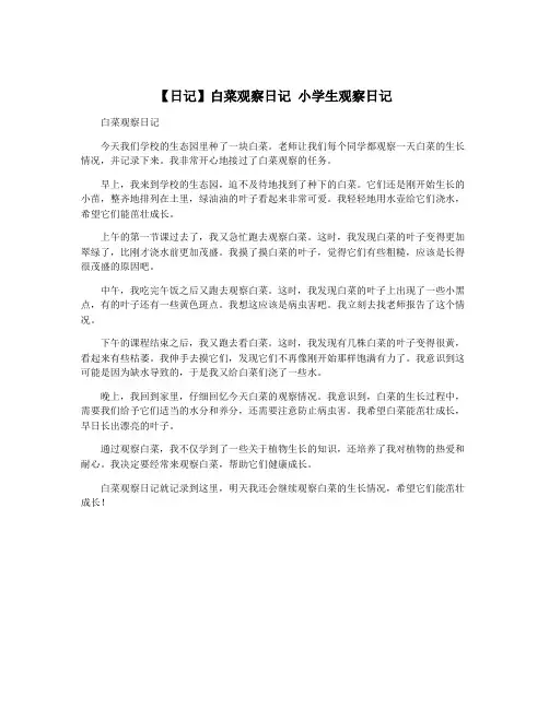 【日记】白菜观察日记 小学生观察日记