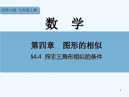 探索三角形相似的条件教学课件