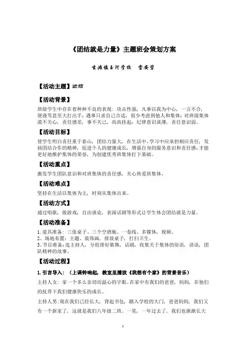 《团结就是力量》主题班会策划方案