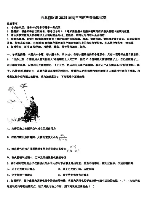 西北狼联盟2025届高三考前热身物理试卷含解析