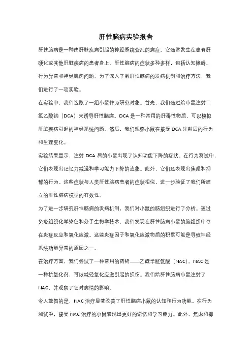 肝性脑病实验报告