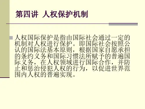 第四部分 人权的国际保护机制