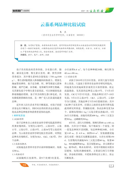 云茄系列品种比较试验