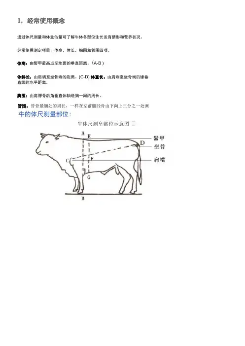 牛体重测量方式