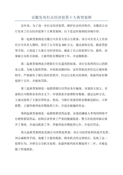 安徽发布打击经济犯罪十大典型案例