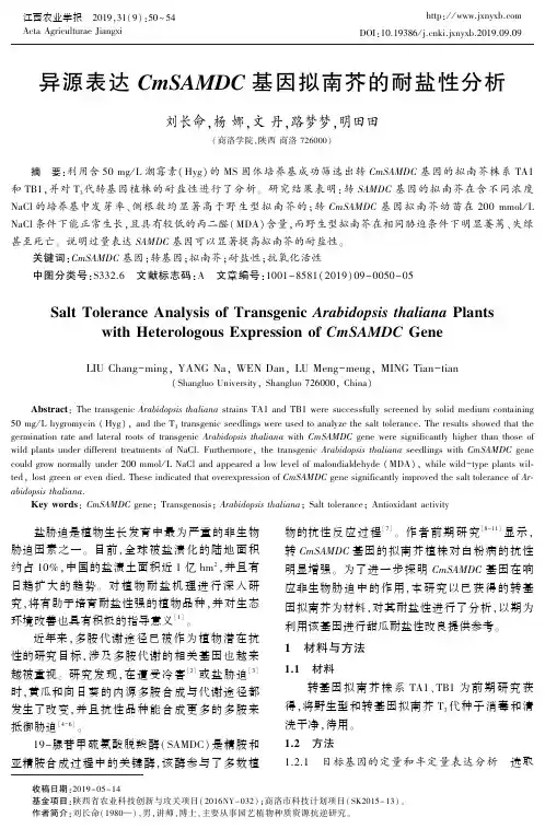 异源表达CmSAMDC基因拟南芥的耐盐性分析