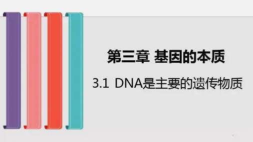 (新教材)DNA是主要的遗传物质PPT-人教版课件