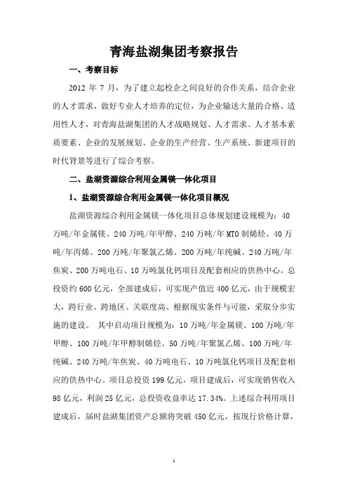 青海盐湖集团考察报