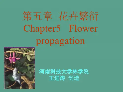 《花卉学播种繁殖》ppt课件