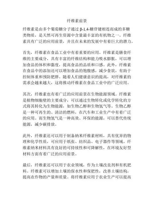 纤维素前景