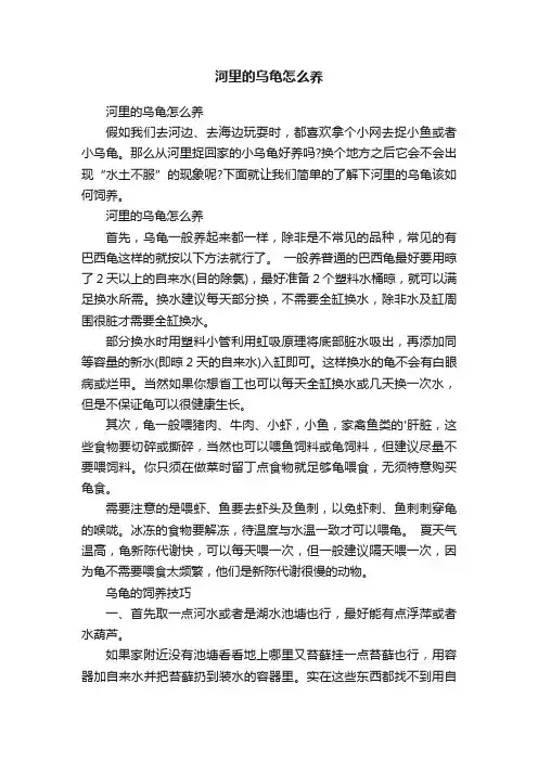 河里的乌龟怎么养