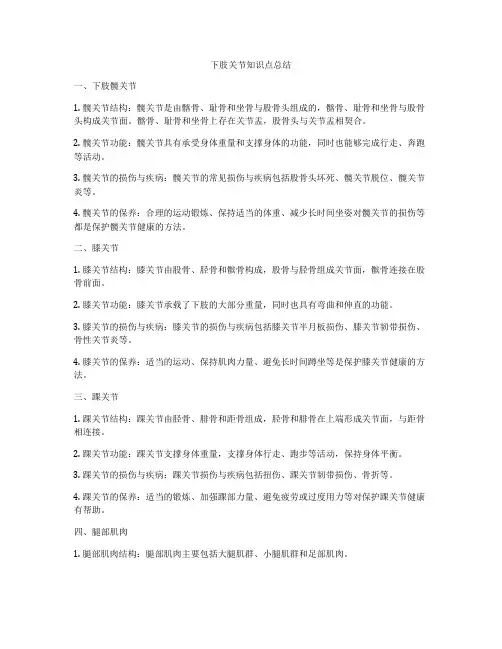 下肢关节知识点总结