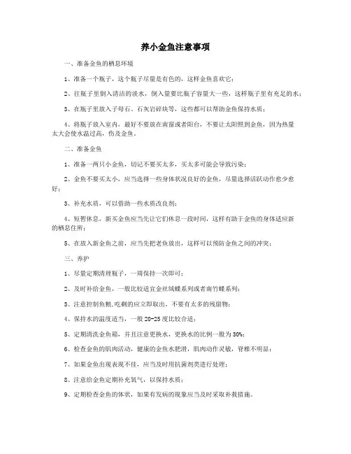养小金鱼注意事项