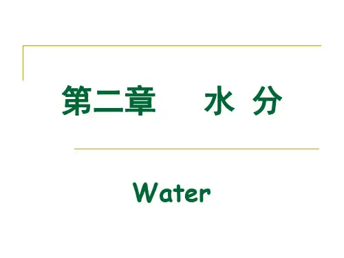 食品化学