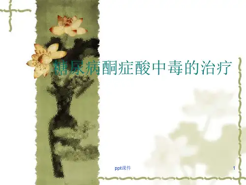 糖尿病酮症酸中毒补液治疗  ppt课件