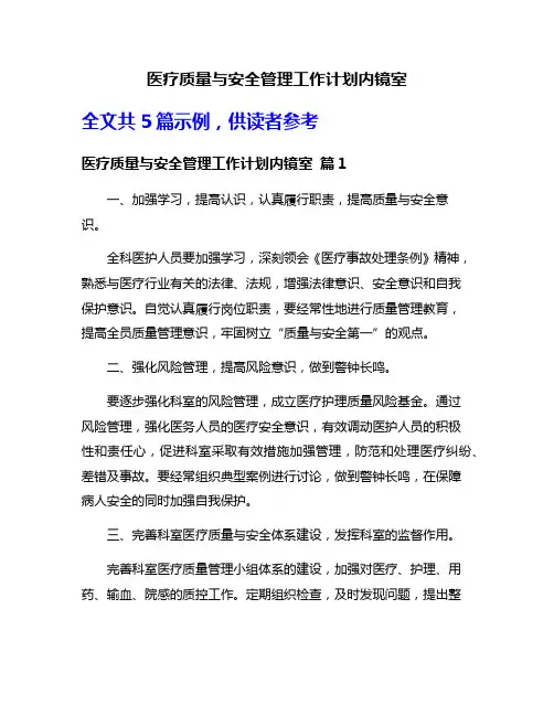 医疗质量与安全管理工作计划内镜室