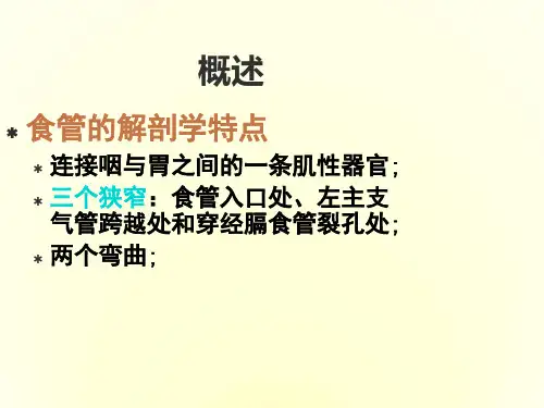 食管癌讲稿PPT课件(1).ppt