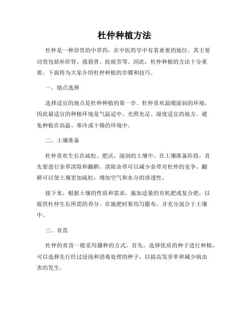 杜仲种植方法