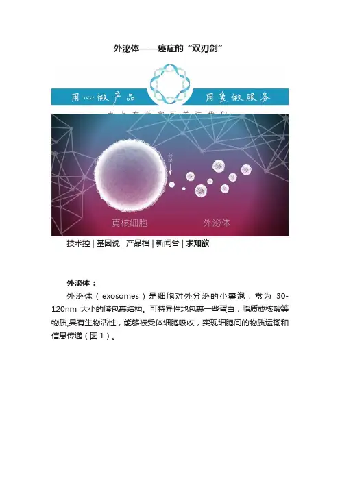 外泌体——癌症的“双刃剑”