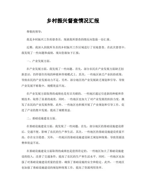 乡村振兴督查情况汇报