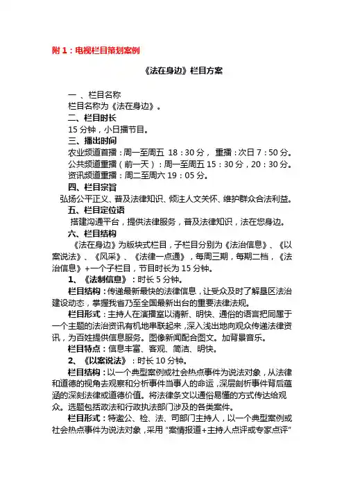电视节目策划